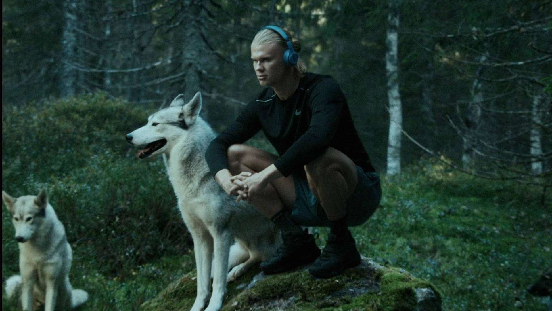 凯恩精准地 凯恩精准地