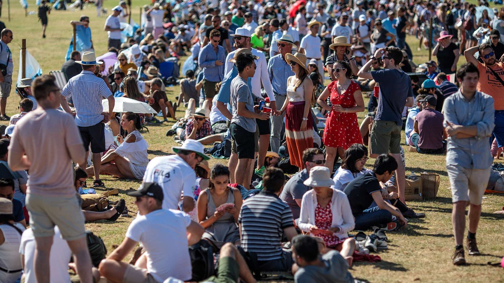 他选手的对 他选手的对