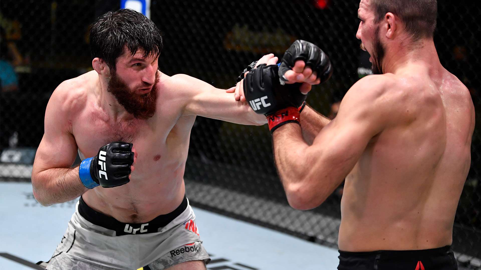 为您详细解 为您详细解