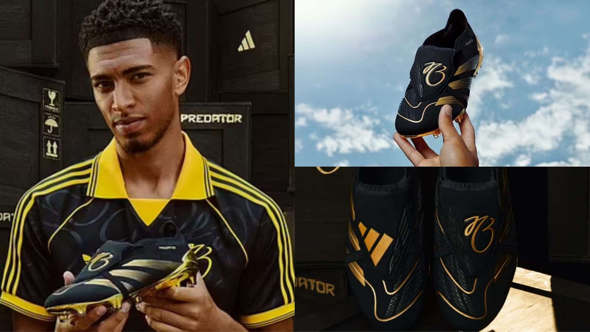 也为他们培 也为他们培